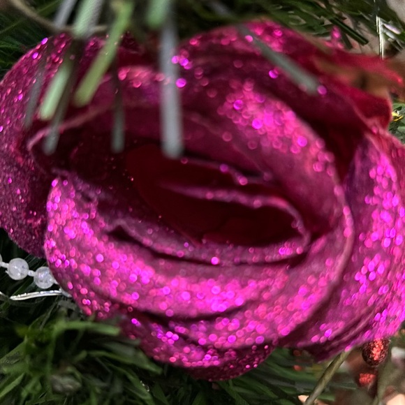 Meet your Posher, Manuelita - Picture 1 of 1